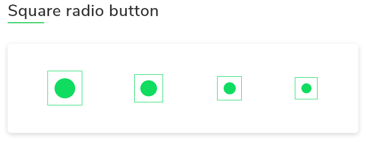 Flutter Square Radio Button