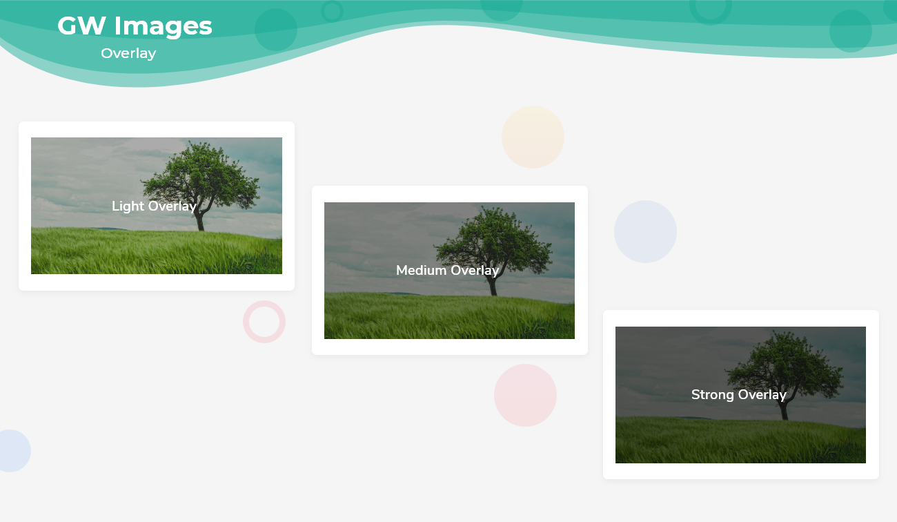 GF Flutter Cards with OverlayImage
