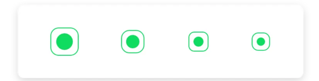 Flutter Custom Radio Button Type 1